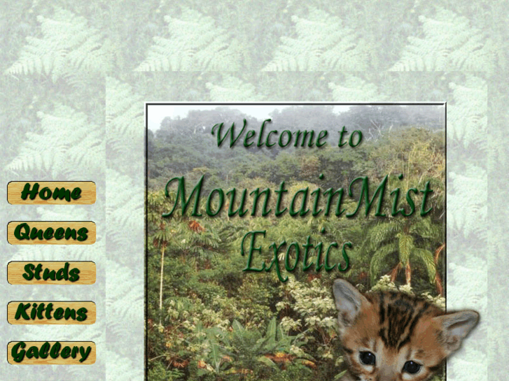 www.mountainmistexotics.com