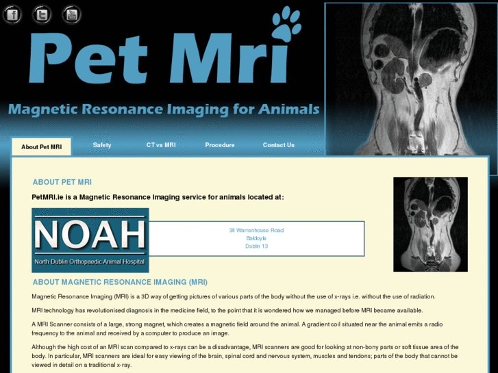 www.petmri.ie