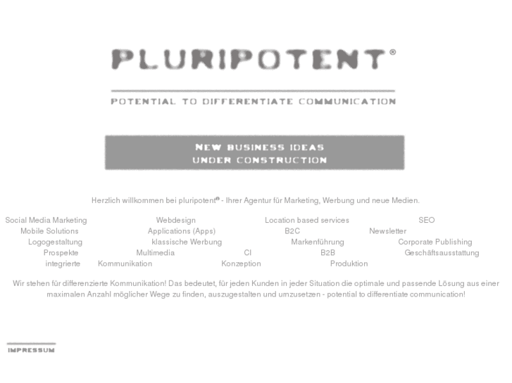 www.pluripotent.de