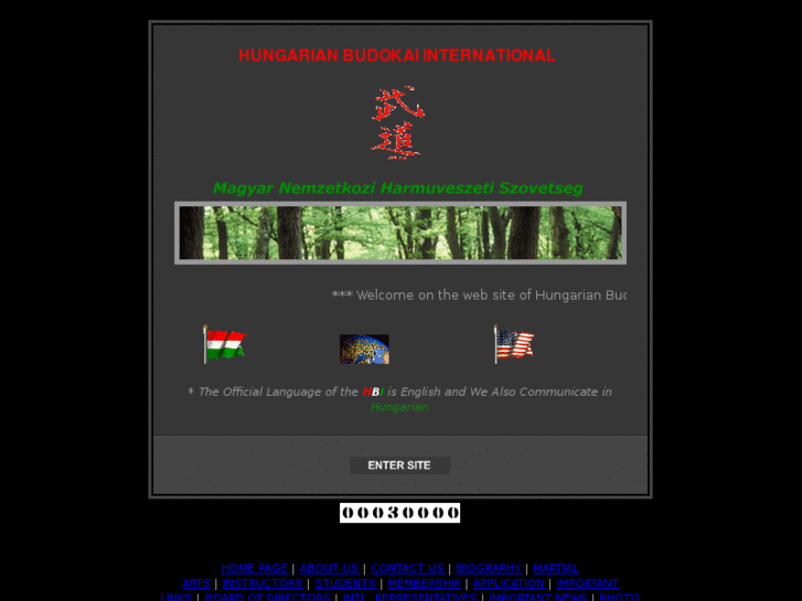 www.hungarianbudokaiinternational.org