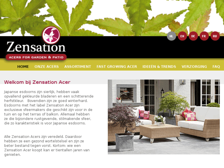 www.zensation-acers.com