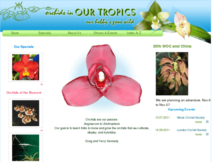 www.orchidsinourtropics.com