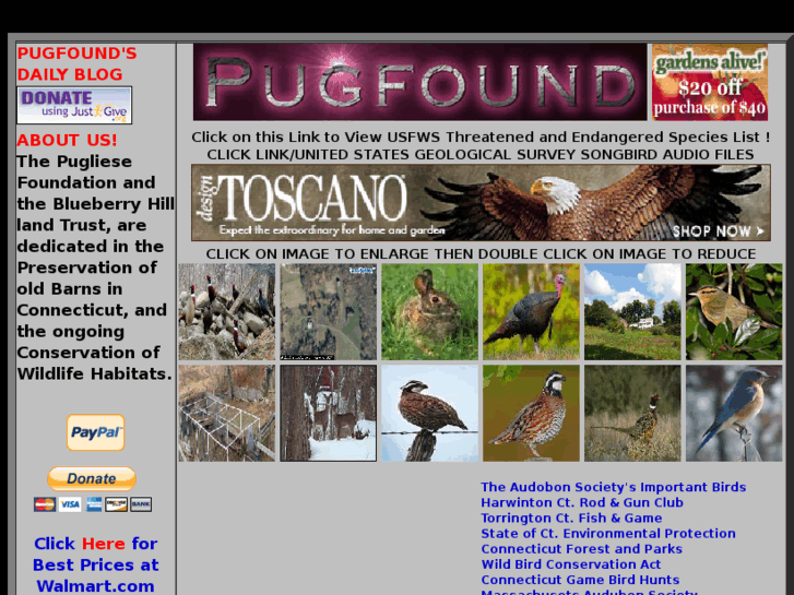 www.pugfound.com