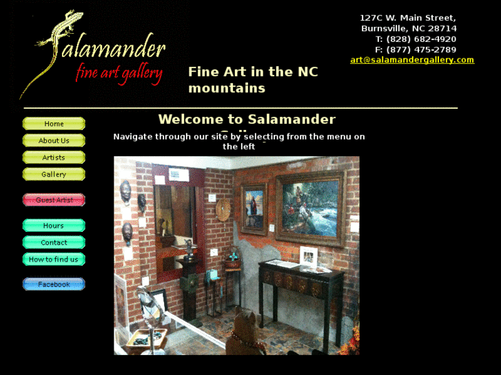 www.salamandergallery.com