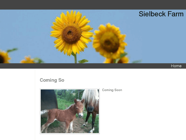 www.sielbeck.net