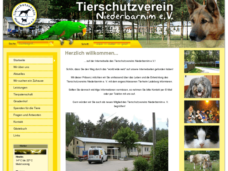 www.tierheim-ladeburg.de