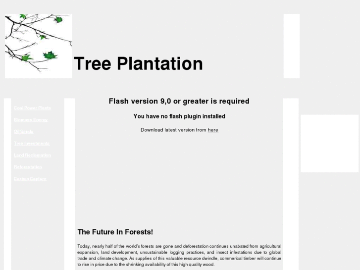 www.treeplantation.com