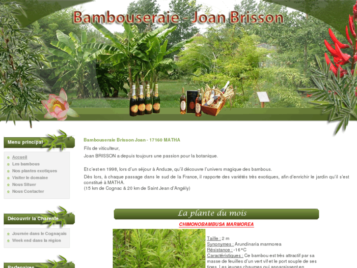 www.bambouseraie-brisson.com