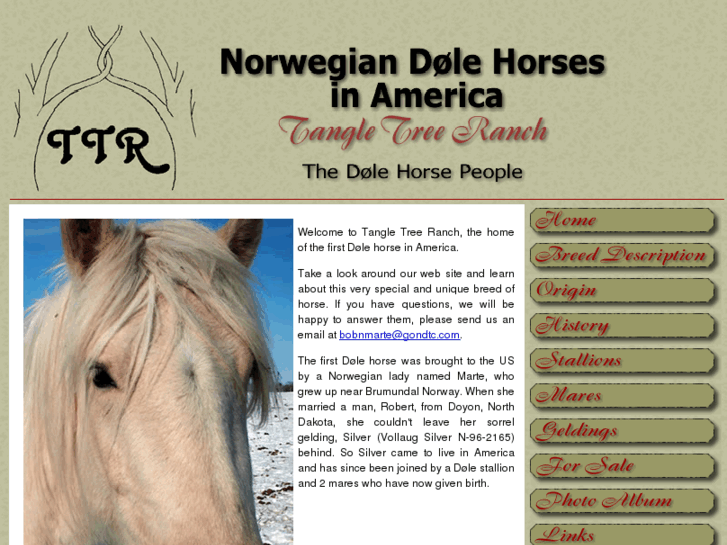 www.dolehorseusa.com