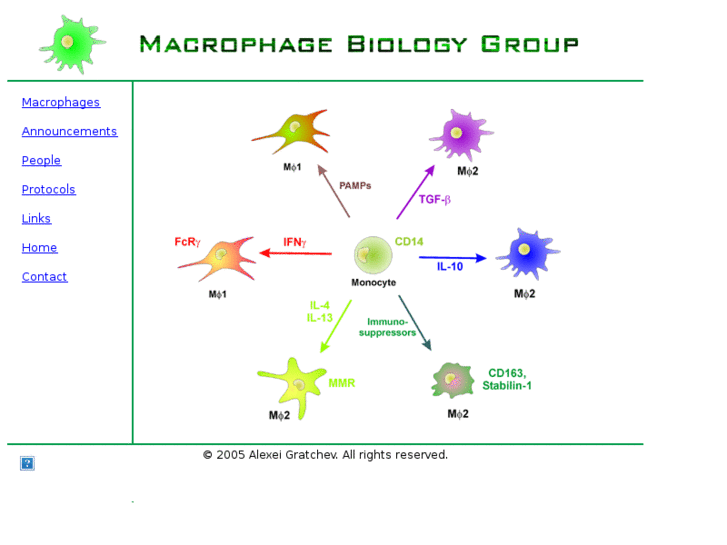 www.macrophage.info