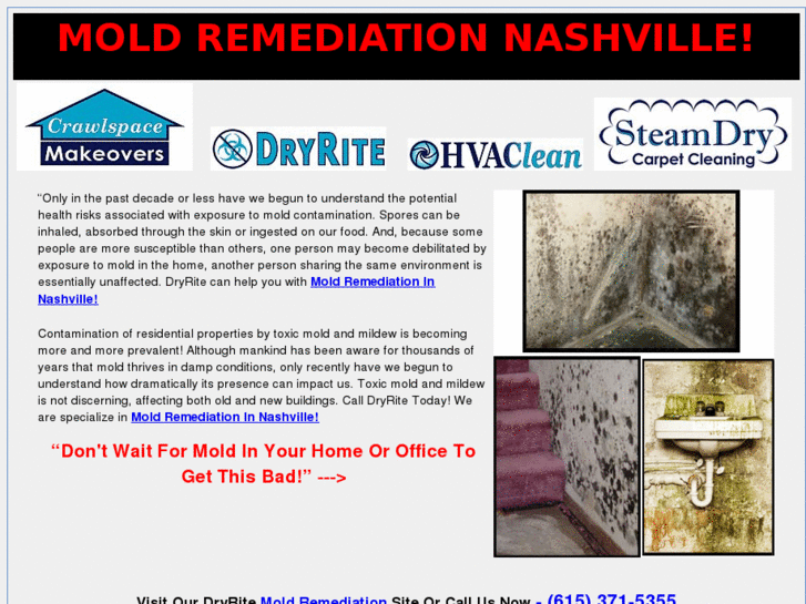 www.moldremediationnashville.com