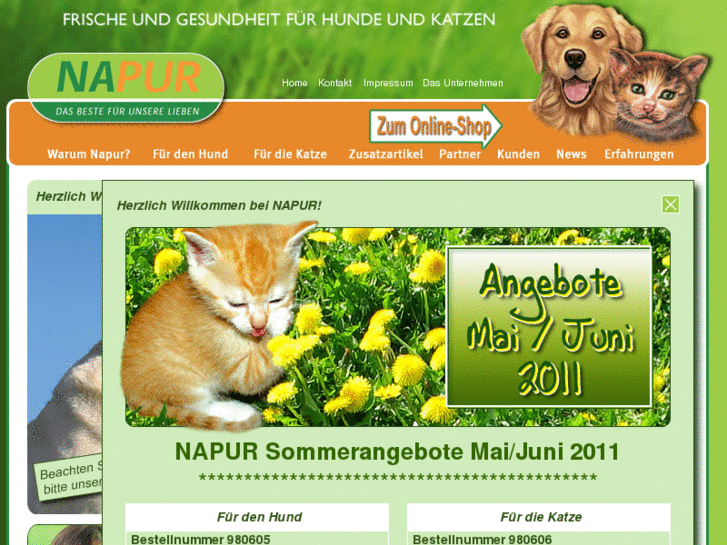 www.napur-gmbh.info