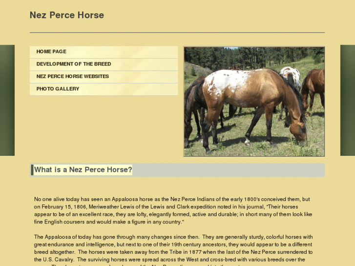 www.nezpercehorseinfo.com