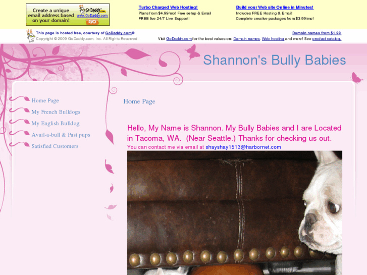 www.shannonsbullybabies.com