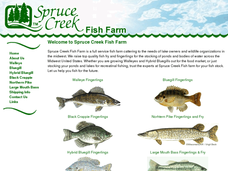 www.sprucecreekfish.com