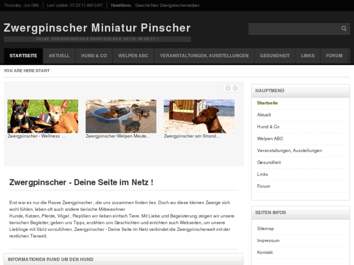 www.zwergpinscher.com
