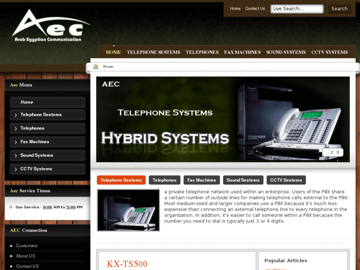 www.aec-eg.com