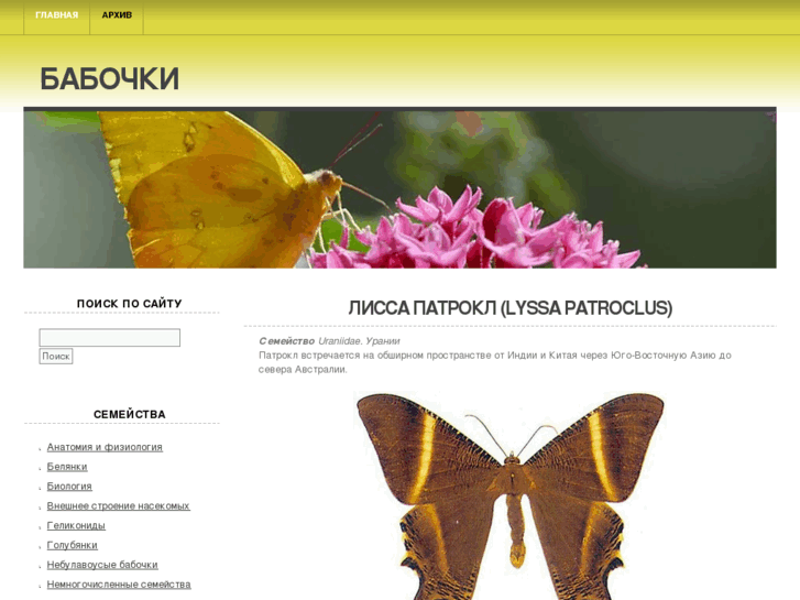 www.babochki.com