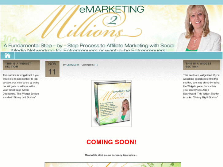 www.emarketing2millions.com