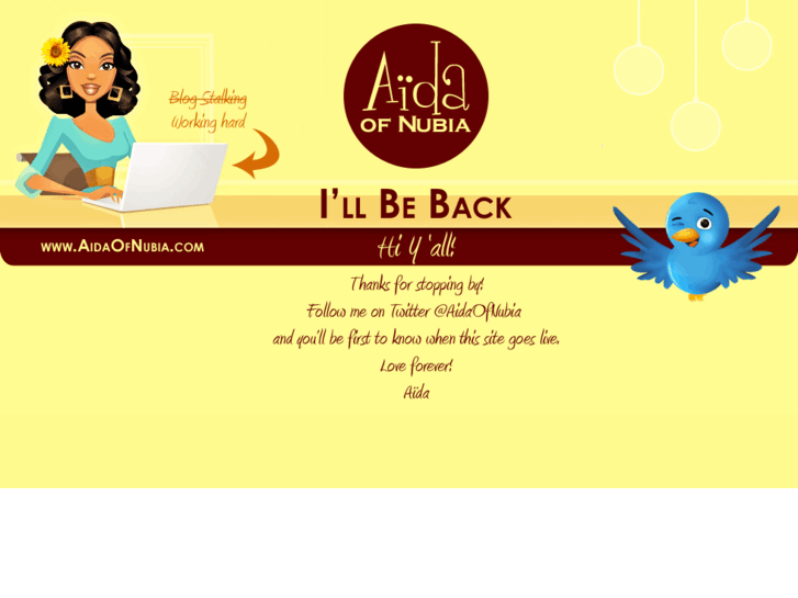 www.aidaofnubia.com