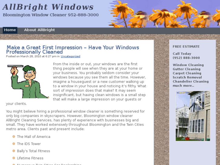 www.bloomingtonwindowcleaner.com