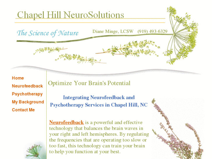 www.chapelhillneurosolutions.com