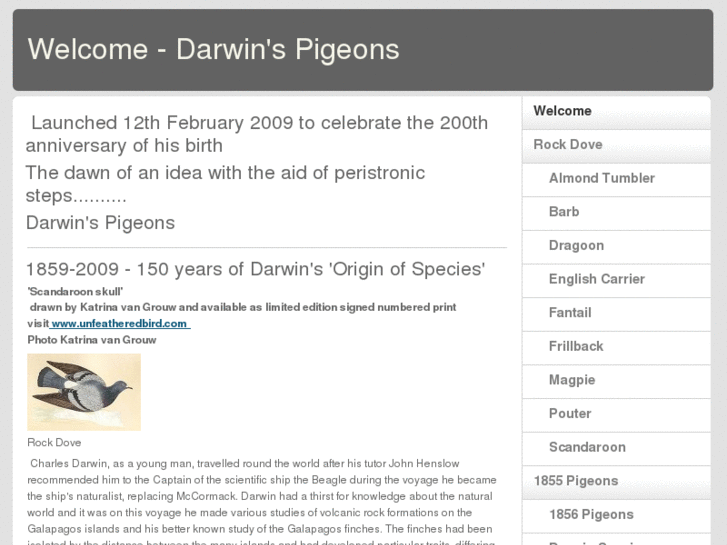 www.darwinspigeons.com