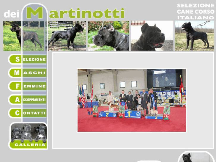 www.deimartinotti.com