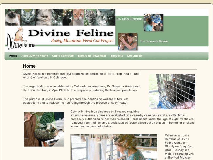 www.divinefeline.org