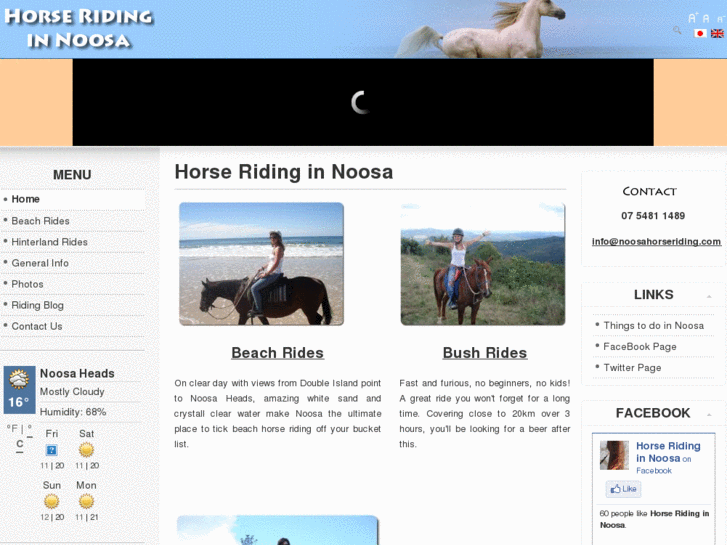 www.noosahorseriding.com