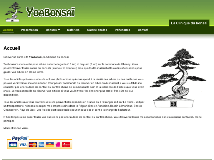 www.yoabonsai.com