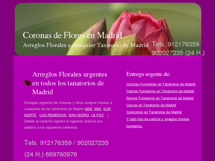 www.coronasdefloresenmadrid.com