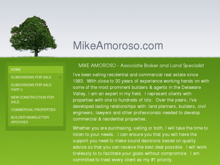 www.mikeamoroso.com