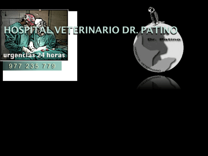 www.veterinariapatino.es