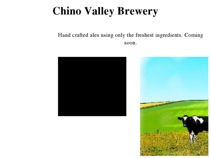 www.chinovalleybrewery.com