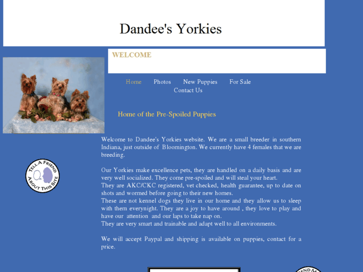 www.dandeesyorkies.com