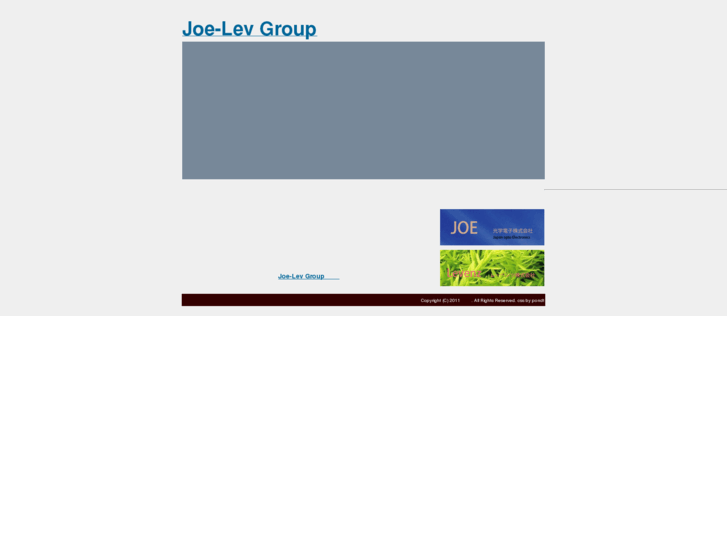 www.joe-lev.com