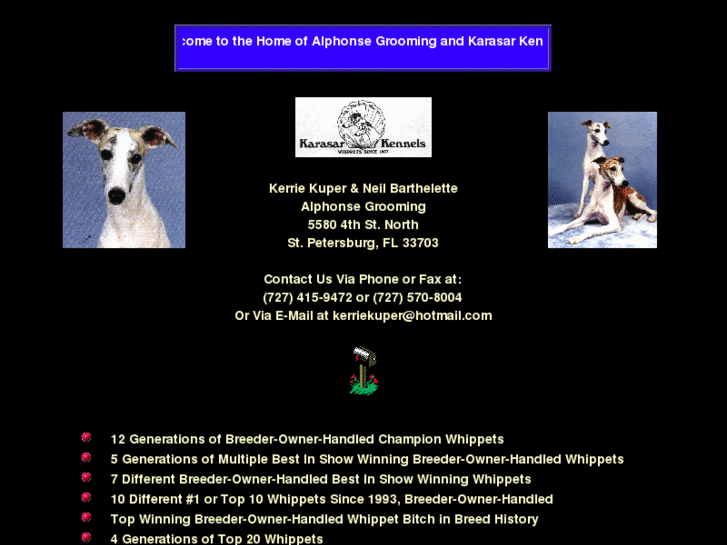 www.karasarwhippets.com