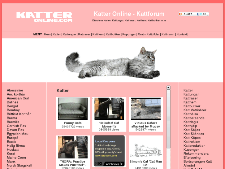 www.katteronline.com