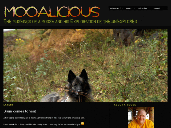 www.mooalicious.com