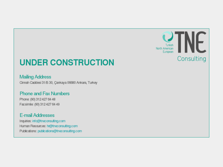 www.tneconsulting.com