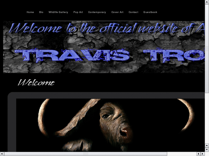 www.travisternst.com