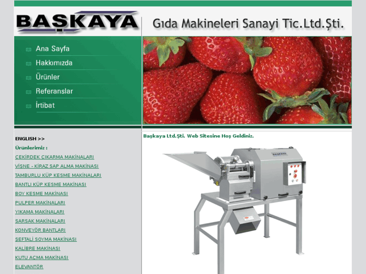 www.baskaya.com