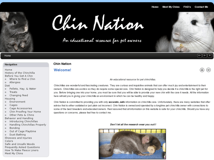 www.chinnation.com