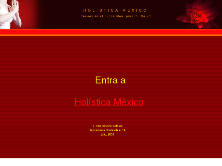 www.holisticamexico.com