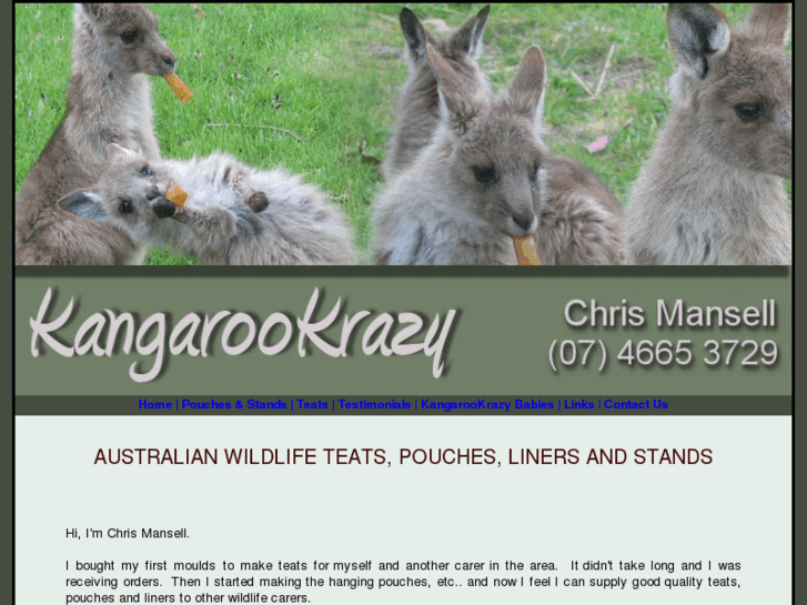 www.kangarookrazy.com