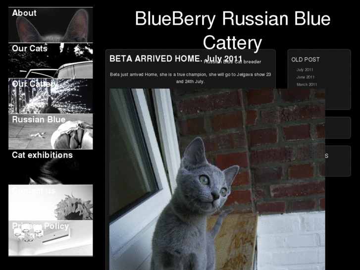 www.russiancattery.com