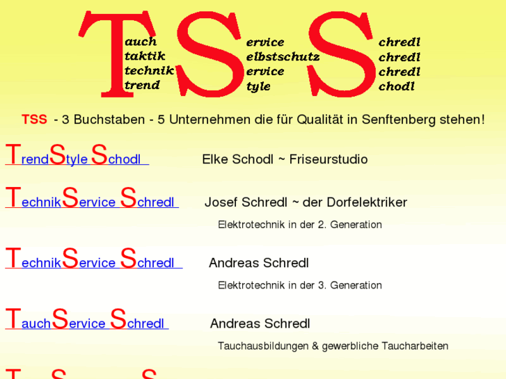 www.tss-senftenberg.com