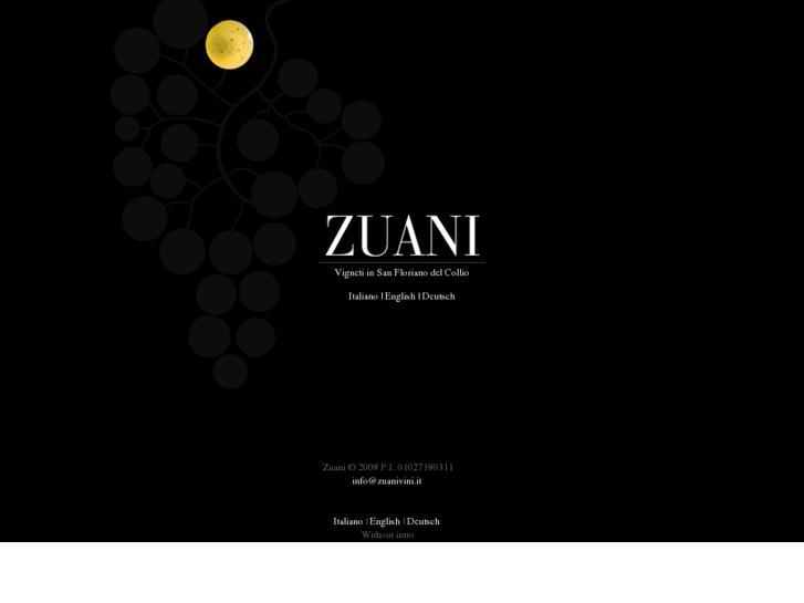 www.zuanivini.com