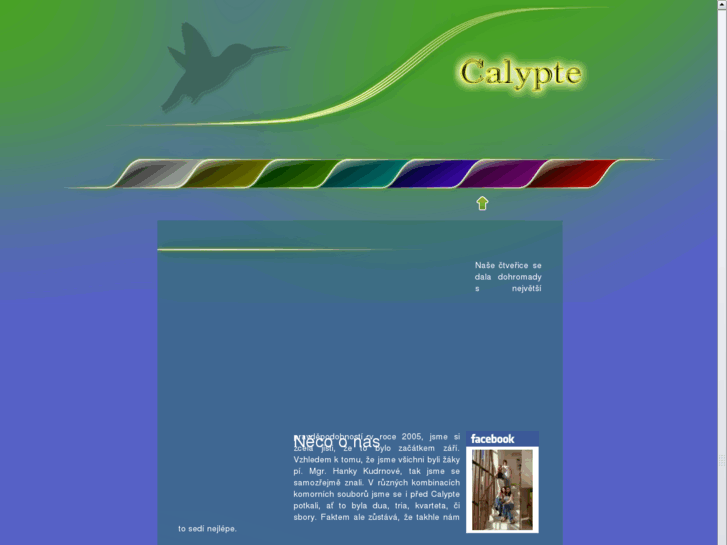 www.calypte.org